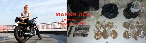 сатива Бугульма