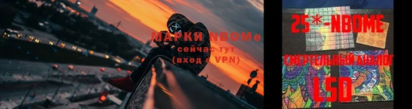 сатива Бугульма